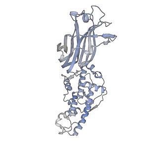 1571_3gzu_N_v1-3
VP7 recoated rotavirus DLP