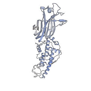 1571_3gzu_N_v1-4
VP7 recoated rotavirus DLP