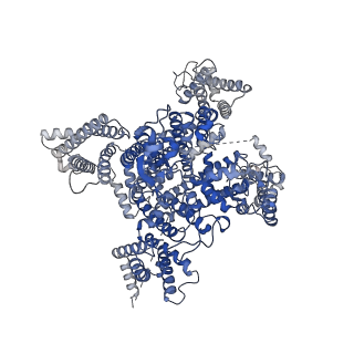 34388_8gz2_B_v1-0
Cryo-EM structure of human NaV1.6/beta1/beta2-4,9-anhydro-tetrodotoxin