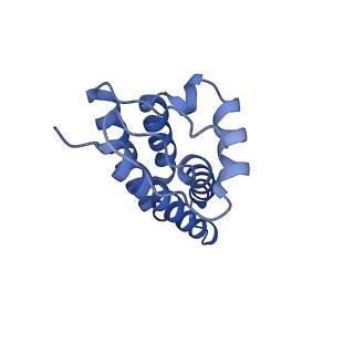 34389_8gz3_A_v1-0
Structure of human phagocyte NADPH oxidase in the resting state
