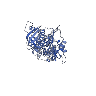 34389_8gz3_B_v1-0
Structure of human phagocyte NADPH oxidase in the resting state