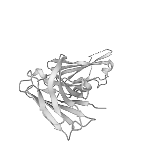 34389_8gz3_H_v1-0
Structure of human phagocyte NADPH oxidase in the resting state