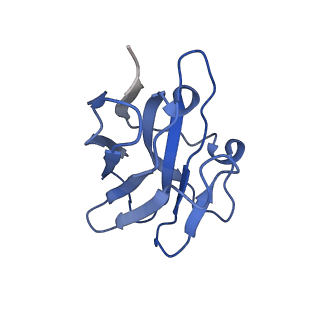 34389_8gz3_N_v1-0
Structure of human phagocyte NADPH oxidase in the resting state