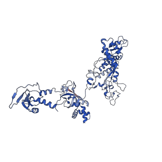 34397_8gzg_D_v1-0
Cryo-EM structure of Synechocystis sp. PCC 6803 RPitc
