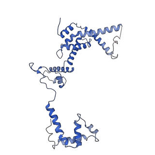 34397_8gzg_F_v1-0
Cryo-EM structure of Synechocystis sp. PCC 6803 RPitc