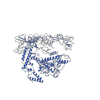 34397_8gzg_Z_v1-0
Cryo-EM structure of Synechocystis sp. PCC 6803 RPitc