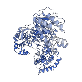 34401_8gzq_A_v1-1
Cryo-EM structure of the NS5-NS3-SLA complex