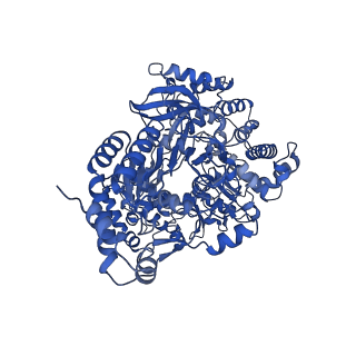 34402_8gzr_A_v1-1
Cryo-EM structure of the the NS5-NS3 RNA-elongation complex