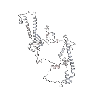 34403_8gzu_00_v1-0
Cryo-EM structure of Tetrahymena thermophila respiratory Megacomplex MC (IV2+I+III2+II)2