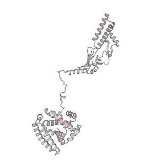 34403_8gzu_01_v1-0
Cryo-EM structure of Tetrahymena thermophila respiratory Megacomplex MC (IV2+I+III2+II)2