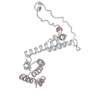 34403_8gzu_02_v1-0
Cryo-EM structure of Tetrahymena thermophila respiratory Megacomplex MC (IV2+I+III2+II)2