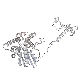 34403_8gzu_04_v1-0
Cryo-EM structure of Tetrahymena thermophila respiratory Megacomplex MC (IV2+I+III2+II)2