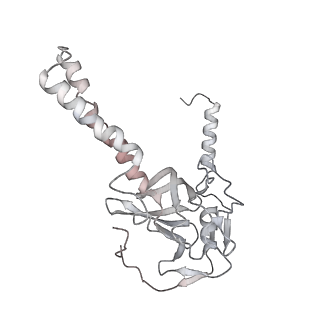 34403_8gzu_05_v1-0
Cryo-EM structure of Tetrahymena thermophila respiratory Megacomplex MC (IV2+I+III2+II)2