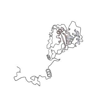 34403_8gzu_06_v1-0
Cryo-EM structure of Tetrahymena thermophila respiratory Megacomplex MC (IV2+I+III2+II)2