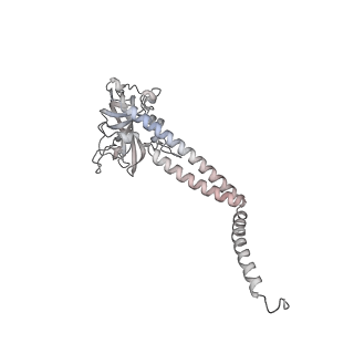 34403_8gzu_07_v1-0
Cryo-EM structure of Tetrahymena thermophila respiratory Megacomplex MC (IV2+I+III2+II)2