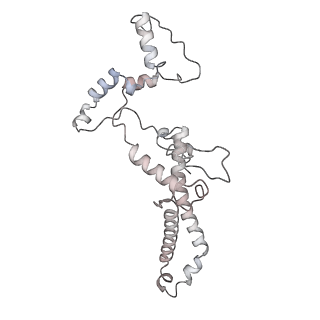 34403_8gzu_08_v1-0
Cryo-EM structure of Tetrahymena thermophila respiratory Megacomplex MC (IV2+I+III2+II)2