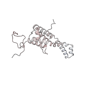 34403_8gzu_09_v1-0
Cryo-EM structure of Tetrahymena thermophila respiratory Megacomplex MC (IV2+I+III2+II)2