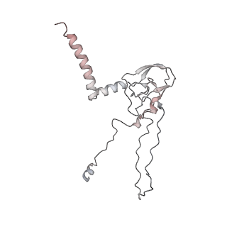 34403_8gzu_0C_v1-0
Cryo-EM structure of Tetrahymena thermophila respiratory Megacomplex MC (IV2+I+III2+II)2