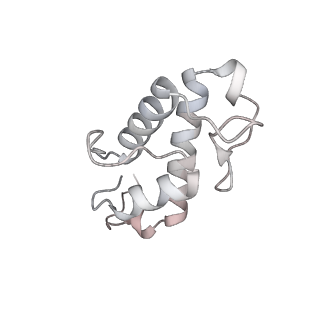 34403_8gzu_0D_v1-0
Cryo-EM structure of Tetrahymena thermophila respiratory Megacomplex MC (IV2+I+III2+II)2