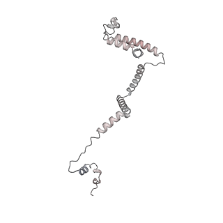 34403_8gzu_0F_v1-0
Cryo-EM structure of Tetrahymena thermophila respiratory Megacomplex MC (IV2+I+III2+II)2