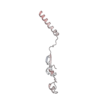 34403_8gzu_0G_v1-0
Cryo-EM structure of Tetrahymena thermophila respiratory Megacomplex MC (IV2+I+III2+II)2