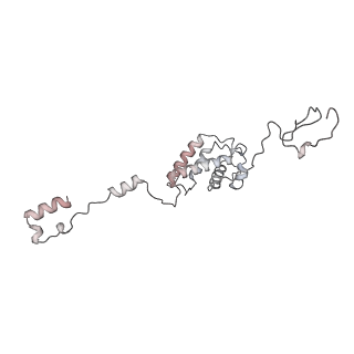 34403_8gzu_10_v1-0
Cryo-EM structure of Tetrahymena thermophila respiratory Megacomplex MC (IV2+I+III2+II)2