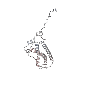 34403_8gzu_11_v1-0
Cryo-EM structure of Tetrahymena thermophila respiratory Megacomplex MC (IV2+I+III2+II)2
