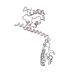34403_8gzu_12_v1-0
Cryo-EM structure of Tetrahymena thermophila respiratory Megacomplex MC (IV2+I+III2+II)2