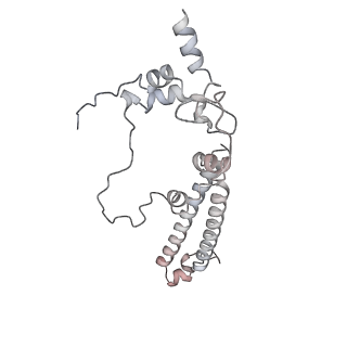 34403_8gzu_13_v1-0
Cryo-EM structure of Tetrahymena thermophila respiratory Megacomplex MC (IV2+I+III2+II)2