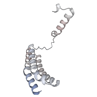 34403_8gzu_14_v1-0
Cryo-EM structure of Tetrahymena thermophila respiratory Megacomplex MC (IV2+I+III2+II)2