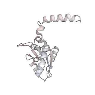 34403_8gzu_15_v1-0
Cryo-EM structure of Tetrahymena thermophila respiratory Megacomplex MC (IV2+I+III2+II)2