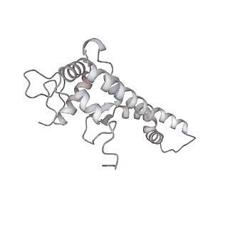34403_8gzu_16_v1-0
Cryo-EM structure of Tetrahymena thermophila respiratory Megacomplex MC (IV2+I+III2+II)2