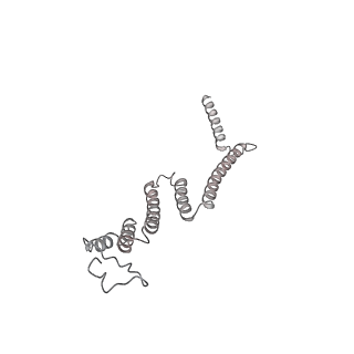 34403_8gzu_18_v1-0
Cryo-EM structure of Tetrahymena thermophila respiratory Megacomplex MC (IV2+I+III2+II)2