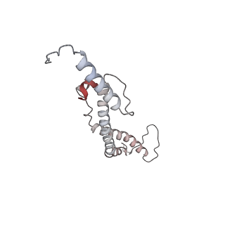34403_8gzu_19_v1-0
Cryo-EM structure of Tetrahymena thermophila respiratory Megacomplex MC (IV2+I+III2+II)2