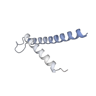 34403_8gzu_1T_v1-0
Cryo-EM structure of Tetrahymena thermophila respiratory Megacomplex MC (IV2+I+III2+II)2