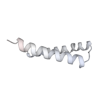 34403_8gzu_1b_v1-0
Cryo-EM structure of Tetrahymena thermophila respiratory Megacomplex MC (IV2+I+III2+II)2