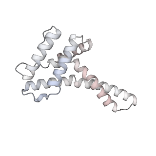 34403_8gzu_20_v1-0
Cryo-EM structure of Tetrahymena thermophila respiratory Megacomplex MC (IV2+I+III2+II)2