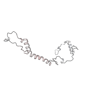 34403_8gzu_21_v1-0
Cryo-EM structure of Tetrahymena thermophila respiratory Megacomplex MC (IV2+I+III2+II)2
