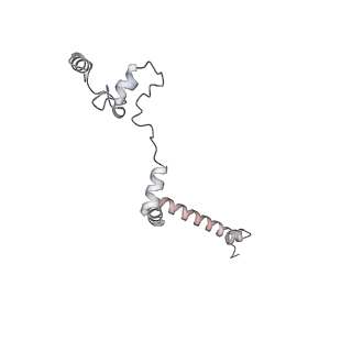 34403_8gzu_22_v1-0
Cryo-EM structure of Tetrahymena thermophila respiratory Megacomplex MC (IV2+I+III2+II)2