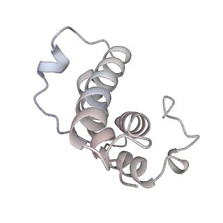 34403_8gzu_24_v1-0
Cryo-EM structure of Tetrahymena thermophila respiratory Megacomplex MC (IV2+I+III2+II)2