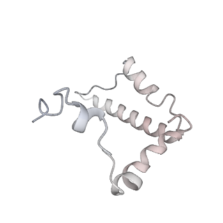 34403_8gzu_25_v1-0
Cryo-EM structure of Tetrahymena thermophila respiratory Megacomplex MC (IV2+I+III2+II)2