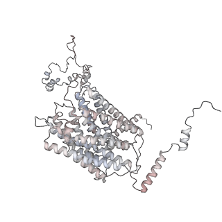 34403_8gzu_26_v1-0
Cryo-EM structure of Tetrahymena thermophila respiratory Megacomplex MC (IV2+I+III2+II)2