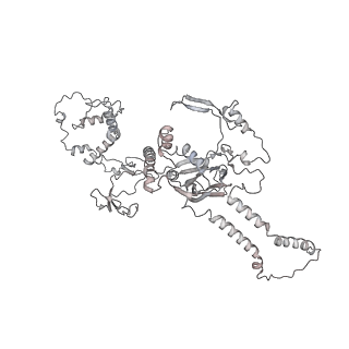 34403_8gzu_27_v1-0
Cryo-EM structure of Tetrahymena thermophila respiratory Megacomplex MC (IV2+I+III2+II)2
