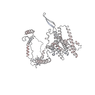 34403_8gzu_28_v1-0
Cryo-EM structure of Tetrahymena thermophila respiratory Megacomplex MC (IV2+I+III2+II)2