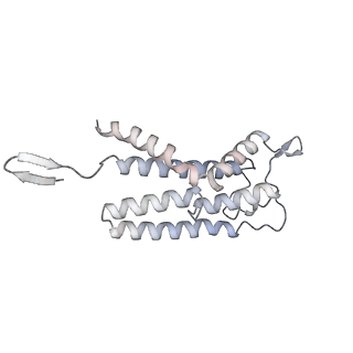34403_8gzu_2B_v1-0
Cryo-EM structure of Tetrahymena thermophila respiratory Megacomplex MC (IV2+I+III2+II)2