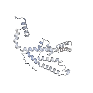 34403_8gzu_2F_v1-0
Cryo-EM structure of Tetrahymena thermophila respiratory Megacomplex MC (IV2+I+III2+II)2