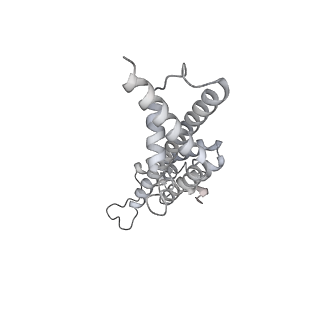 34403_8gzu_2G_v1-0
Cryo-EM structure of Tetrahymena thermophila respiratory Megacomplex MC (IV2+I+III2+II)2