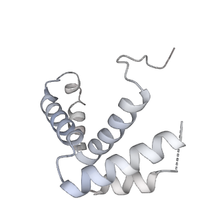 34403_8gzu_2H_v1-0
Cryo-EM structure of Tetrahymena thermophila respiratory Megacomplex MC (IV2+I+III2+II)2