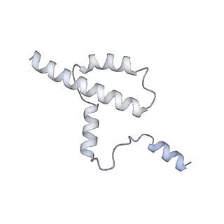 34403_8gzu_2L_v1-0
Cryo-EM structure of Tetrahymena thermophila respiratory Megacomplex MC (IV2+I+III2+II)2