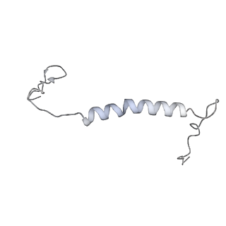 34403_8gzu_2M_v1-0
Cryo-EM structure of Tetrahymena thermophila respiratory Megacomplex MC (IV2+I+III2+II)2